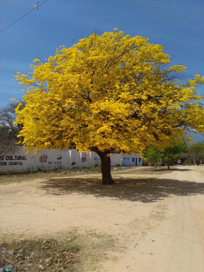 Hostal Santa Cecilia Riohacha Exterior photo